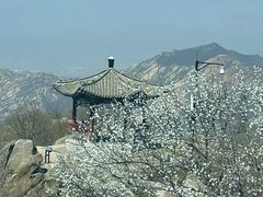-北京凤凰岭