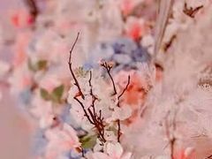 -天泰宾馆婚宴·宴会厅·婚礼堂