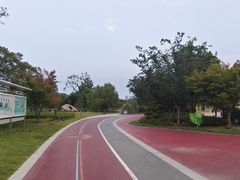 -澹台湖公园
