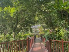 -深圳仙湖植物园
