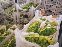 -西郊国际农产品交易中心