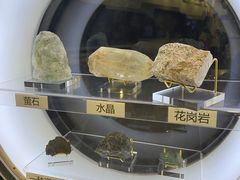 -上海儿童博物馆
