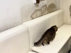 -小时光咖啡馆(北锣鼓巷店)
