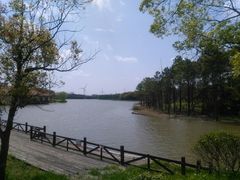 -南汇嘴观海公园