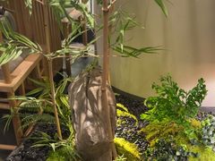 -绿茶餐厅(淮安吾悦广场店)