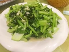 -煲来饱去冷水鱼