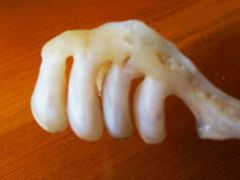 -雪野鱼头大王邢府公老店(雪野湖店)