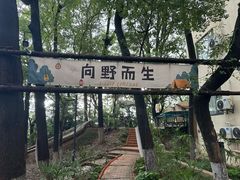 -南京晨光1865创意产业园