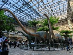 -国家自然博物馆