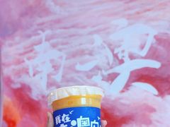 -南澳岛打卡果汁冰公司