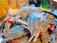 -半岛听涛蒸汽海鲜自助(K11店)