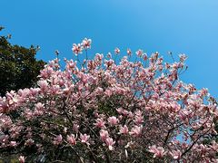 -白塘生态植物园