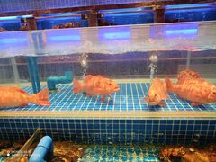 -锦色·烧鹅·海鲜(臻享店)
