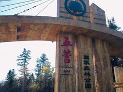 -五营红松林海景区