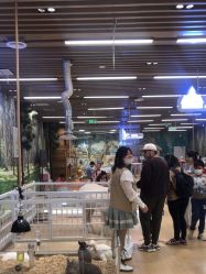 -小象动悟公园(龙湖亦庄天街店)