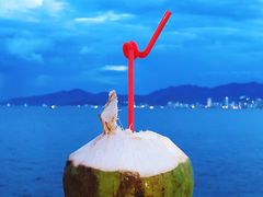 新鲜椰子-越海渔村