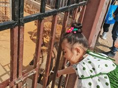 -石家庄市动物园