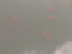 -唐山抗震纪念碑广场