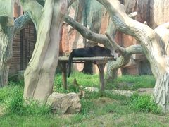 -沈阳森林动物园