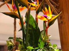 -云海肴·汽锅鸡·云南菜(天山百盛优客店)