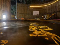 -丰泰花园酒店热矿泉