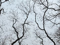 -鼓楼(西湖风景名胜区)