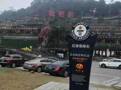 -枇杷园食为鲜火锅(南山店)