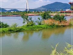 -芒洲湿地公园