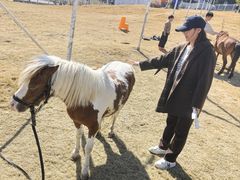 -比斯特上海购物村精品奥特莱斯
