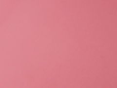 -田婆婆的菜(新天地店)