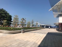 -五缘湾游艇帆船俱乐部