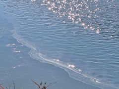 -东海森林温泉度假酒店