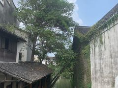 -乌镇东栅景区