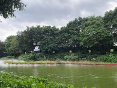 -广州长隆飞鸟乐园