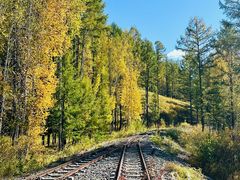 -莫尔道嘎国家森林公园