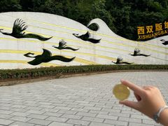 -西双版纳原始森林公园