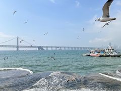 -九號院子海鲜烧烤