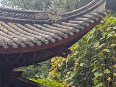 -韬光茶庵