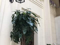 -利顺德大饭店·维多利亚花园(小白楼店)