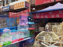 -哈尔滨道外花鸟鱼市场