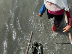 -北海金海湾红树林生态旅游区