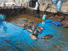 -华夏文旅海洋公园