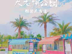 -九龙湖公园