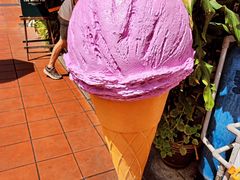 -The Daily Fix Cafe
