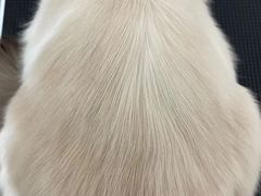 -comecome来吧宠物(奥克斯中心店)