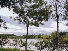 -东郊湿地公园