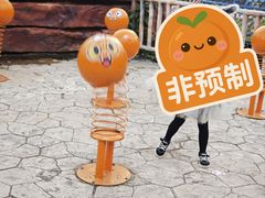 -南湖梦幻岛