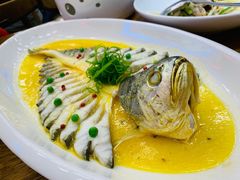鸡汁黄鱼-必点海鲜·鲅鱼水饺(鞍山西道店)