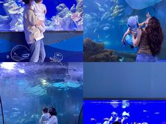 -重庆欢乐海底世界