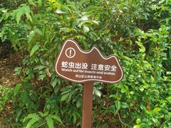 -聚龙山公园